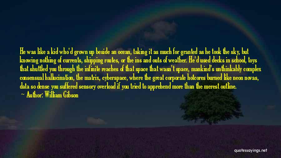 William Gibson Quotes: He Was Like A Kid Who'd Grown Up Beside An Ocean, Taking It As Much For Granted As He Took