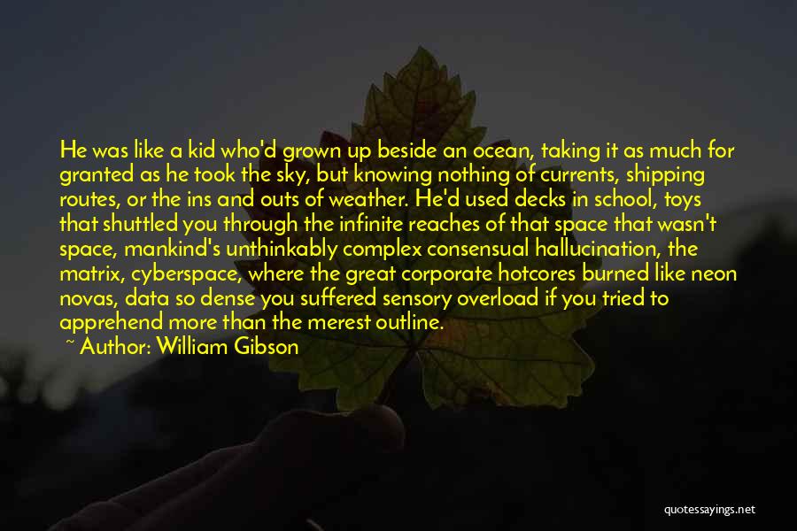 William Gibson Quotes: He Was Like A Kid Who'd Grown Up Beside An Ocean, Taking It As Much For Granted As He Took