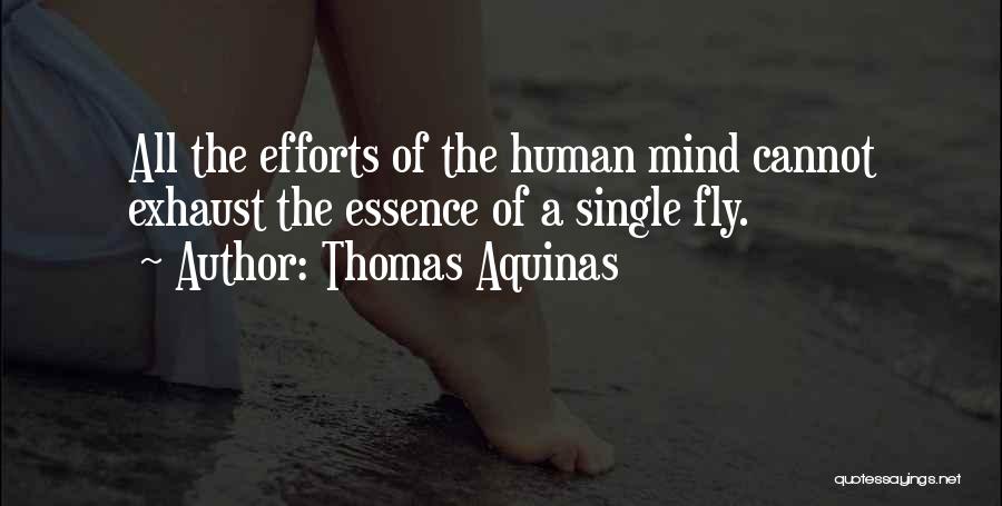 Thomas Aquinas Quotes: All The Efforts Of The Human Mind Cannot Exhaust The Essence Of A Single Fly.