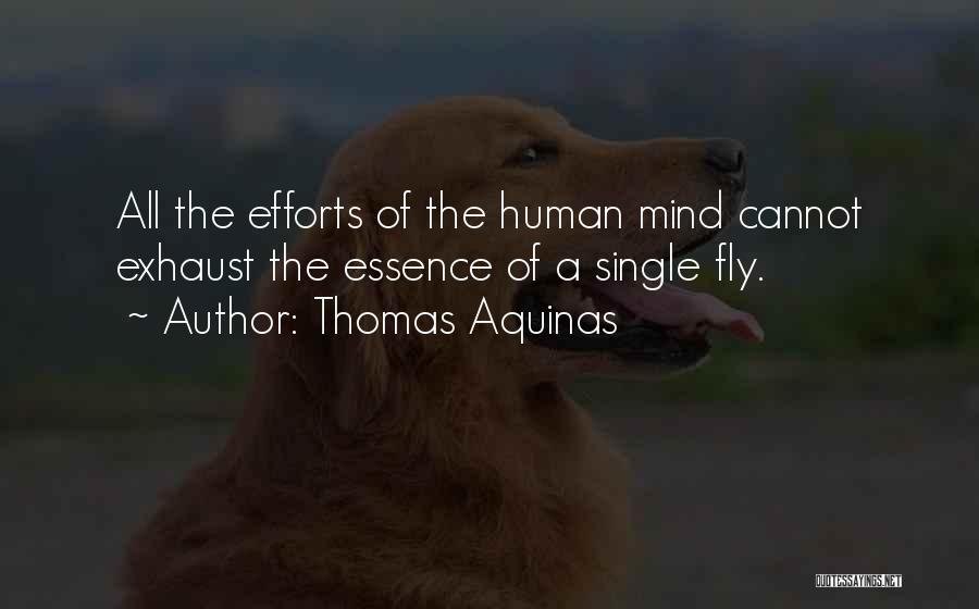Thomas Aquinas Quotes: All The Efforts Of The Human Mind Cannot Exhaust The Essence Of A Single Fly.