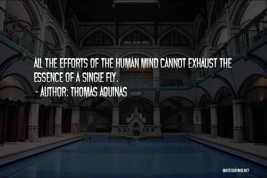 Thomas Aquinas Quotes: All The Efforts Of The Human Mind Cannot Exhaust The Essence Of A Single Fly.