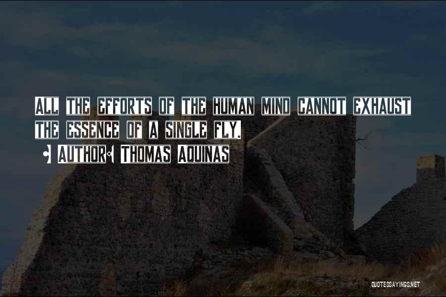 Thomas Aquinas Quotes: All The Efforts Of The Human Mind Cannot Exhaust The Essence Of A Single Fly.