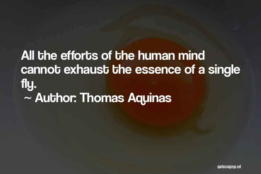 Thomas Aquinas Quotes: All The Efforts Of The Human Mind Cannot Exhaust The Essence Of A Single Fly.