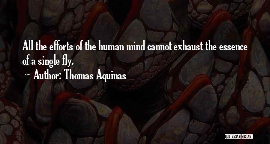 Thomas Aquinas Quotes: All The Efforts Of The Human Mind Cannot Exhaust The Essence Of A Single Fly.