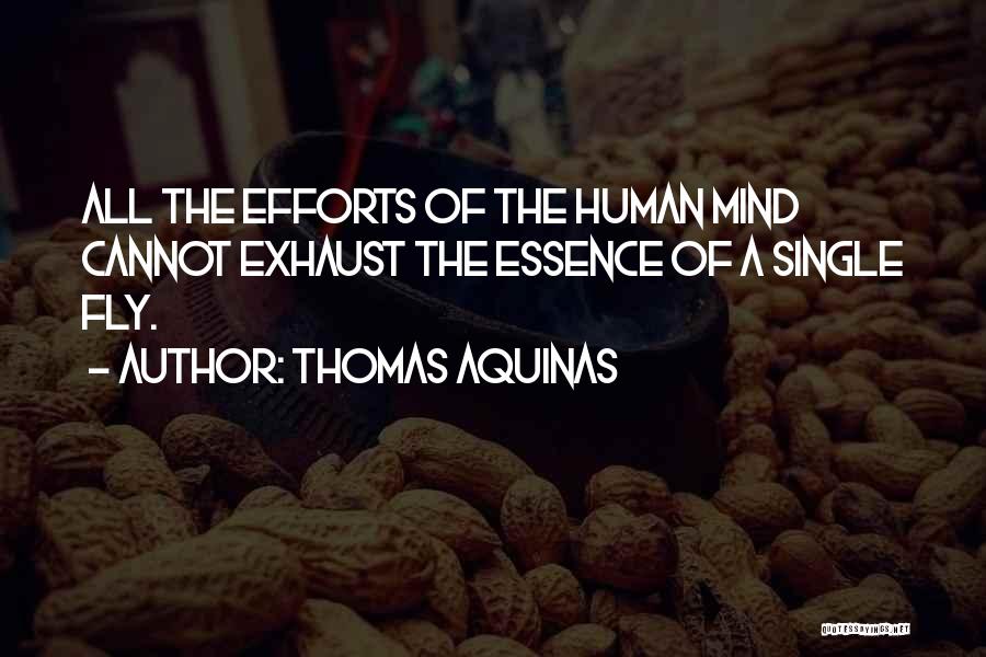 Thomas Aquinas Quotes: All The Efforts Of The Human Mind Cannot Exhaust The Essence Of A Single Fly.