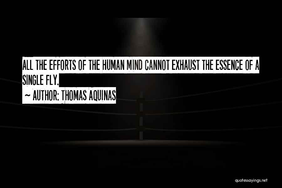 Thomas Aquinas Quotes: All The Efforts Of The Human Mind Cannot Exhaust The Essence Of A Single Fly.