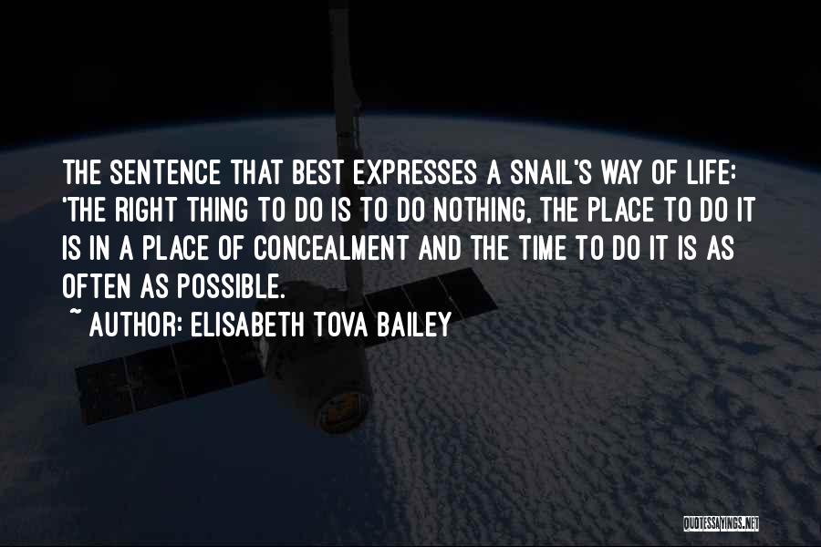 Elisabeth Tova Bailey Quotes: The Sentence That Best Expresses A Snail's Way Of Life: 'the Right Thing To Do Is To Do Nothing, The