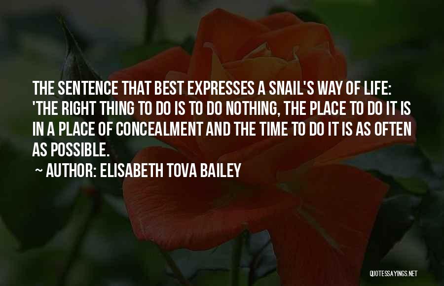 Elisabeth Tova Bailey Quotes: The Sentence That Best Expresses A Snail's Way Of Life: 'the Right Thing To Do Is To Do Nothing, The