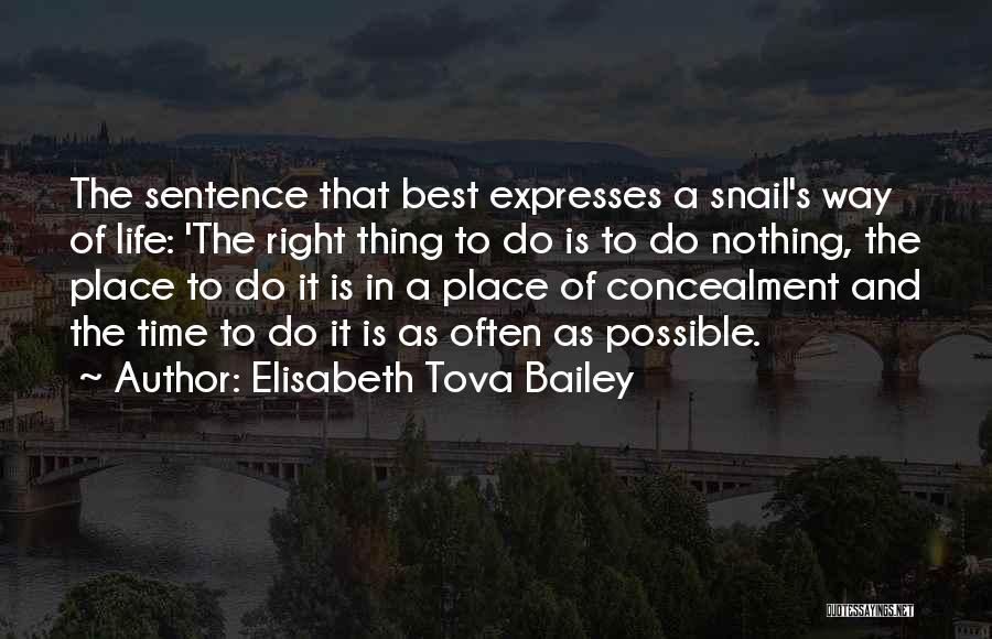 Elisabeth Tova Bailey Quotes: The Sentence That Best Expresses A Snail's Way Of Life: 'the Right Thing To Do Is To Do Nothing, The