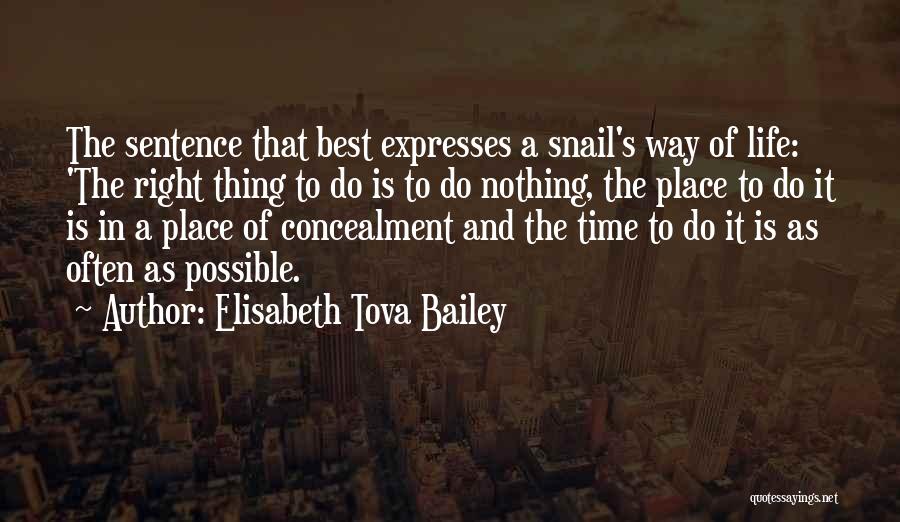 Elisabeth Tova Bailey Quotes: The Sentence That Best Expresses A Snail's Way Of Life: 'the Right Thing To Do Is To Do Nothing, The