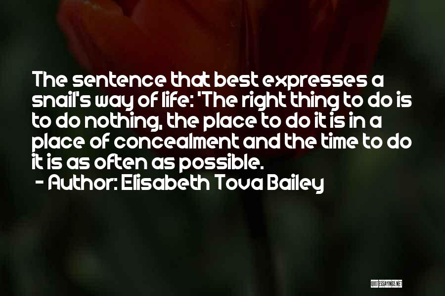 Elisabeth Tova Bailey Quotes: The Sentence That Best Expresses A Snail's Way Of Life: 'the Right Thing To Do Is To Do Nothing, The