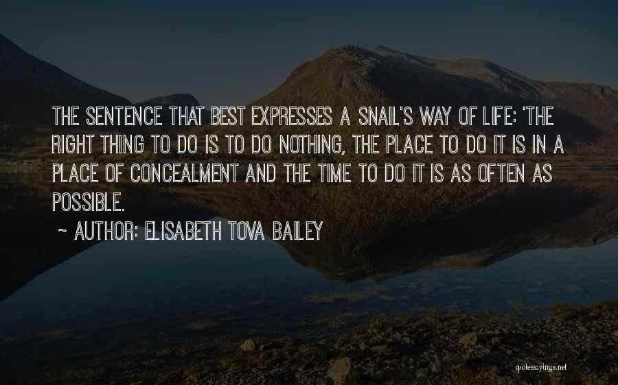 Elisabeth Tova Bailey Quotes: The Sentence That Best Expresses A Snail's Way Of Life: 'the Right Thing To Do Is To Do Nothing, The