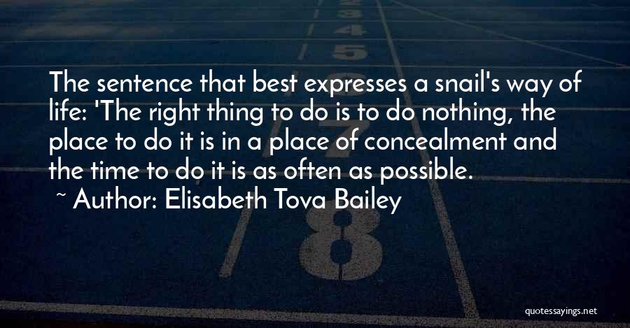 Elisabeth Tova Bailey Quotes: The Sentence That Best Expresses A Snail's Way Of Life: 'the Right Thing To Do Is To Do Nothing, The