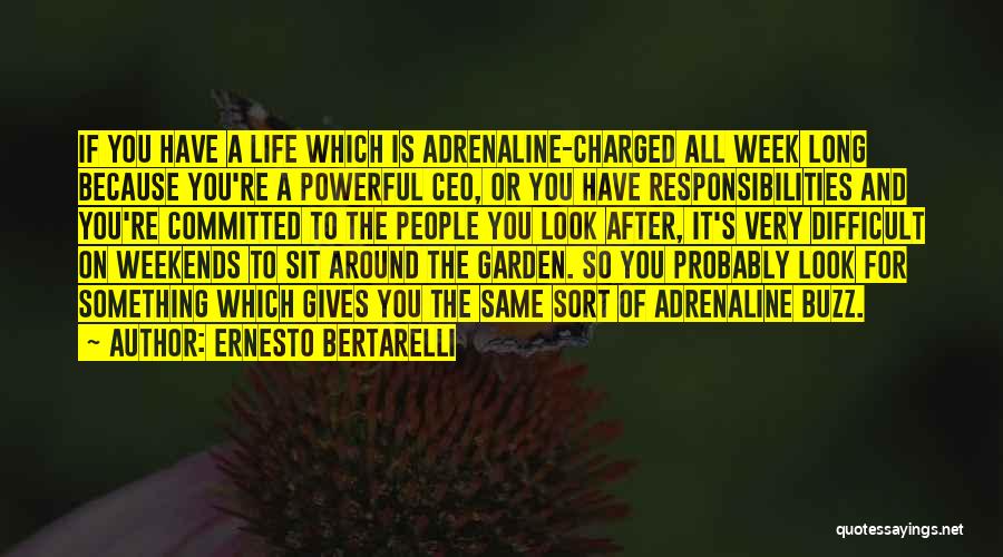 Ernesto Bertarelli Quotes: If You Have A Life Which Is Adrenaline-charged All Week Long Because You're A Powerful Ceo, Or You Have Responsibilities