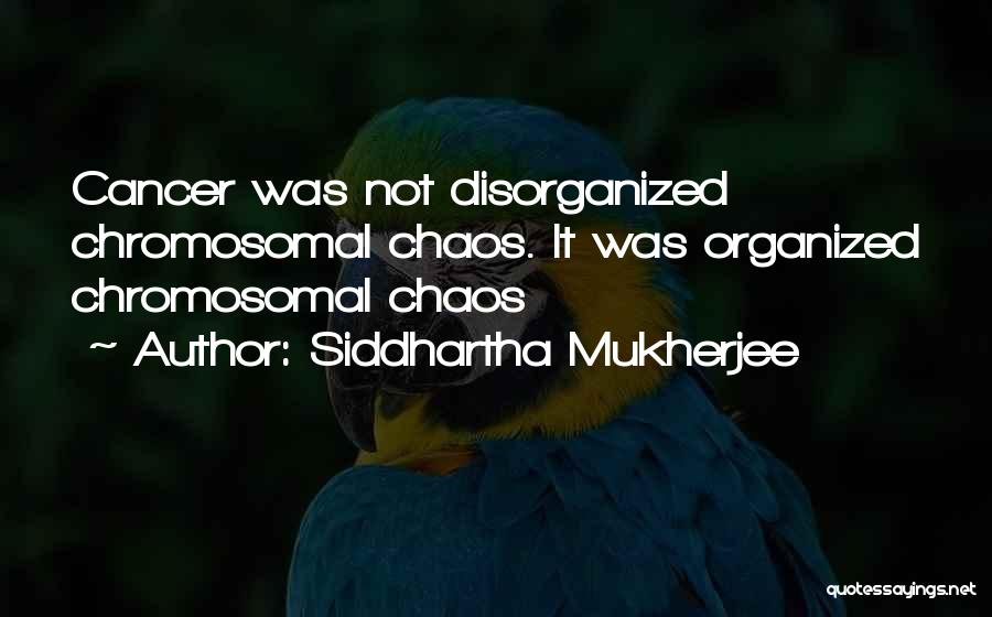 Siddhartha Mukherjee Quotes: Cancer Was Not Disorganized Chromosomal Chaos. It Was Organized Chromosomal Chaos