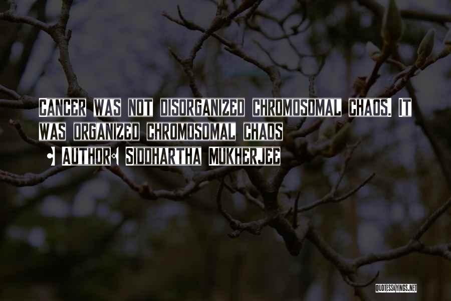 Siddhartha Mukherjee Quotes: Cancer Was Not Disorganized Chromosomal Chaos. It Was Organized Chromosomal Chaos