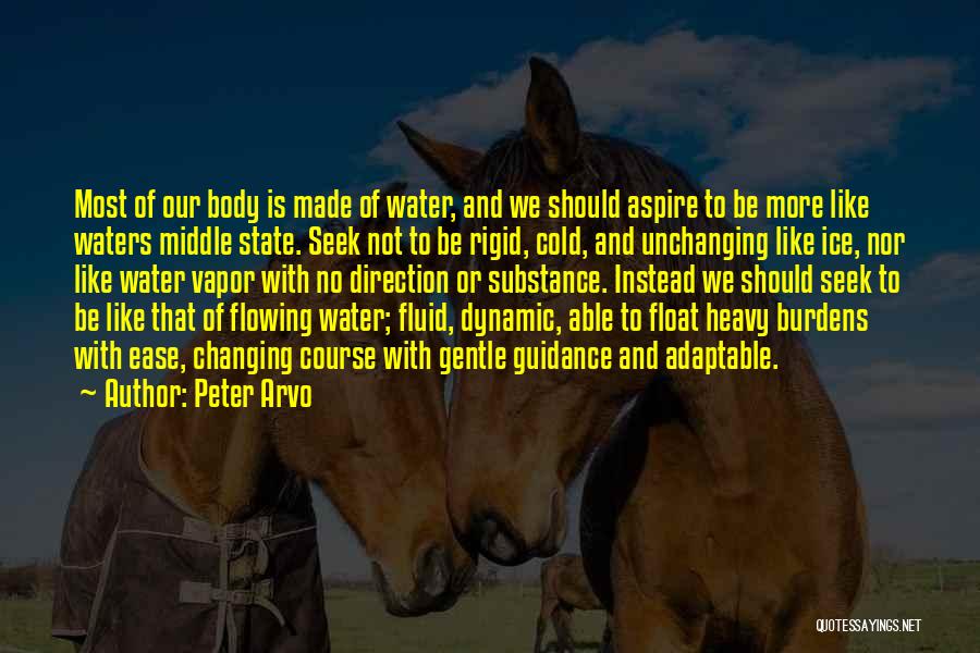 Peter Arvo Quotes: Most Of Our Body Is Made Of Water, And We Should Aspire To Be More Like Waters Middle State. Seek