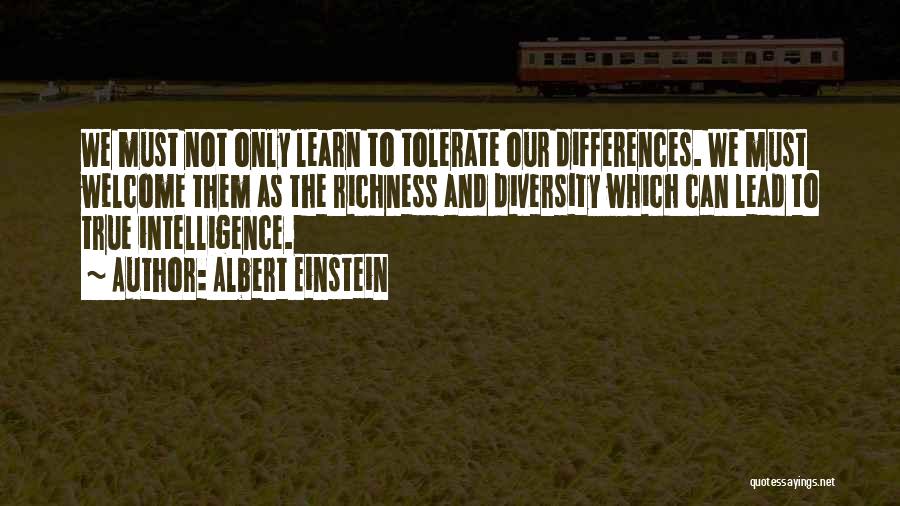 Albert Einstein Quotes: We Must Not Only Learn To Tolerate Our Differences. We Must Welcome Them As The Richness And Diversity Which Can