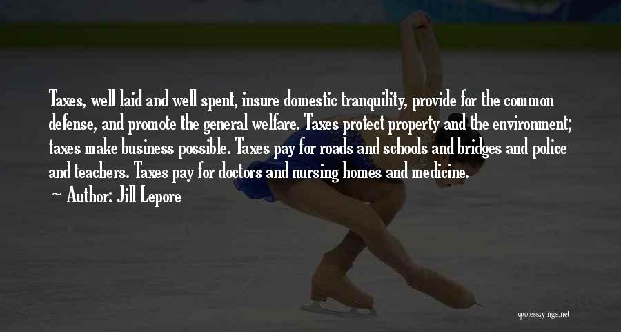 Jill Lepore Quotes: Taxes, Well Laid And Well Spent, Insure Domestic Tranquility, Provide For The Common Defense, And Promote The General Welfare. Taxes