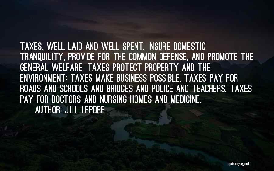 Jill Lepore Quotes: Taxes, Well Laid And Well Spent, Insure Domestic Tranquility, Provide For The Common Defense, And Promote The General Welfare. Taxes