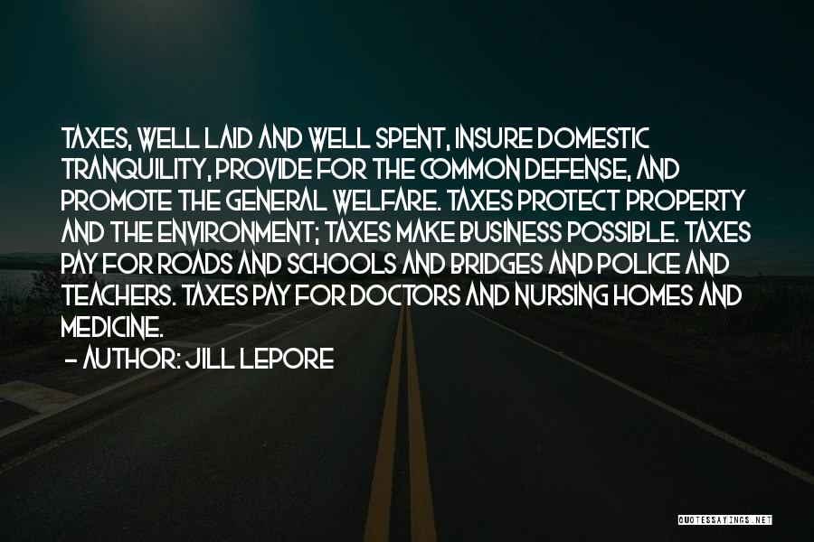 Jill Lepore Quotes: Taxes, Well Laid And Well Spent, Insure Domestic Tranquility, Provide For The Common Defense, And Promote The General Welfare. Taxes