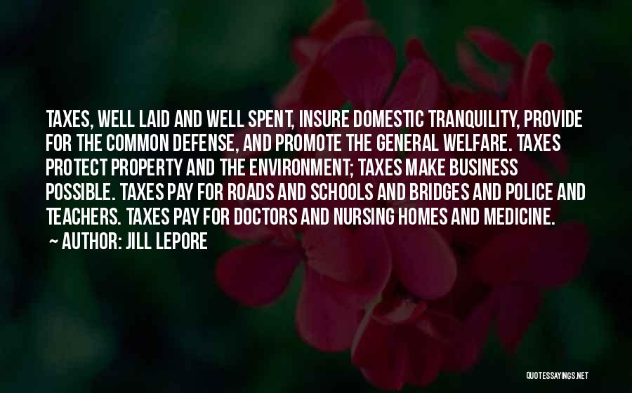 Jill Lepore Quotes: Taxes, Well Laid And Well Spent, Insure Domestic Tranquility, Provide For The Common Defense, And Promote The General Welfare. Taxes