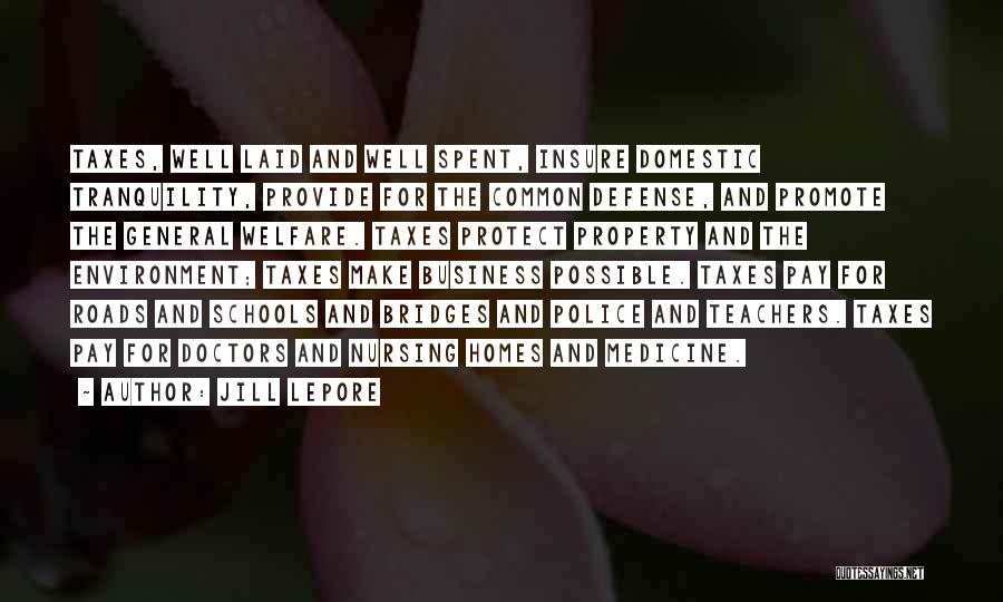 Jill Lepore Quotes: Taxes, Well Laid And Well Spent, Insure Domestic Tranquility, Provide For The Common Defense, And Promote The General Welfare. Taxes