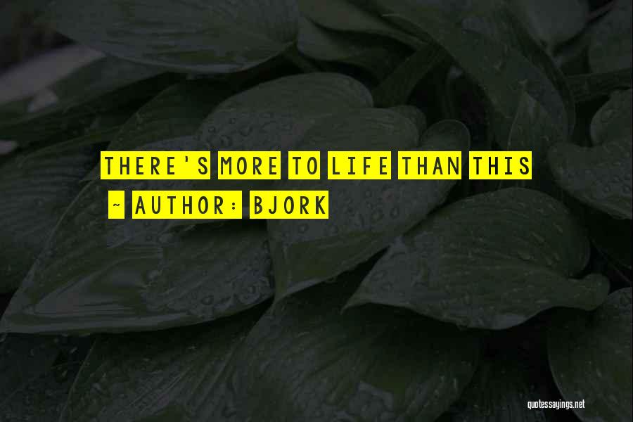 Bjork Quotes: There's More To Life Than This