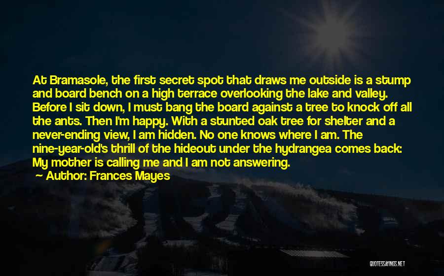 Frances Mayes Quotes: At Bramasole, The First Secret Spot That Draws Me Outside Is A Stump And Board Bench On A High Terrace