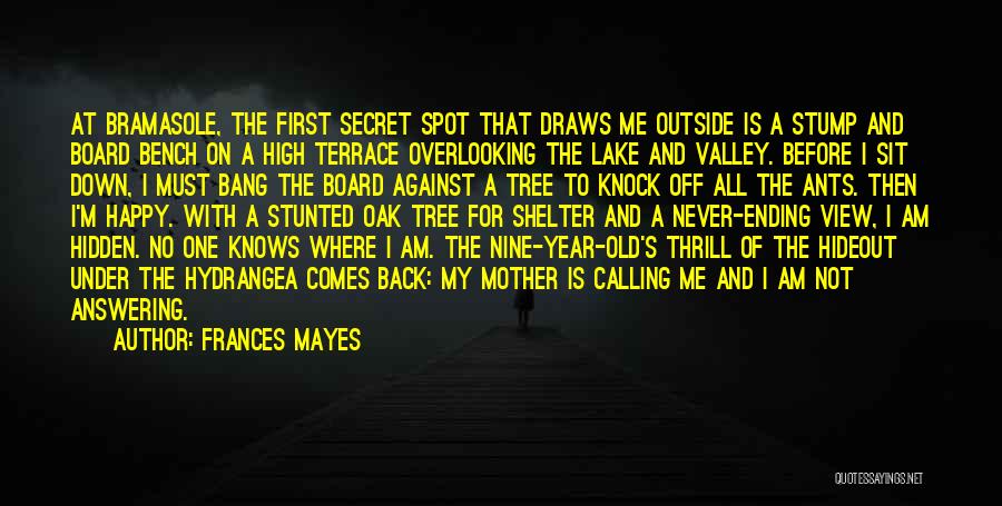 Frances Mayes Quotes: At Bramasole, The First Secret Spot That Draws Me Outside Is A Stump And Board Bench On A High Terrace