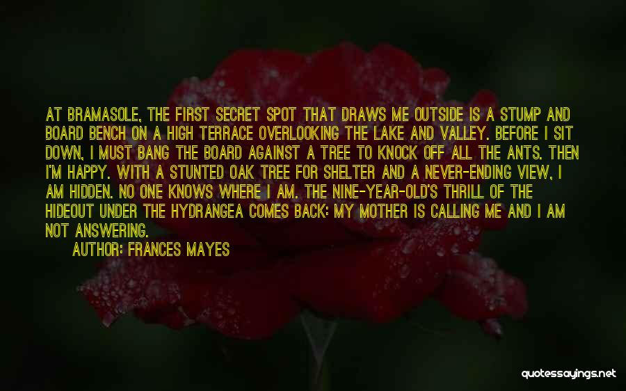 Frances Mayes Quotes: At Bramasole, The First Secret Spot That Draws Me Outside Is A Stump And Board Bench On A High Terrace