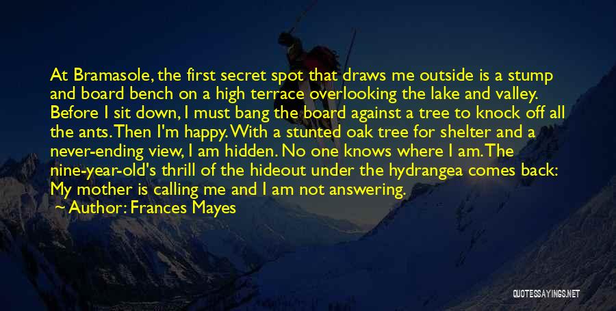 Frances Mayes Quotes: At Bramasole, The First Secret Spot That Draws Me Outside Is A Stump And Board Bench On A High Terrace