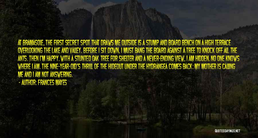 Frances Mayes Quotes: At Bramasole, The First Secret Spot That Draws Me Outside Is A Stump And Board Bench On A High Terrace