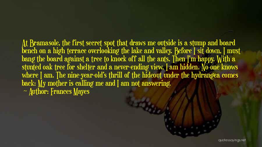 Frances Mayes Quotes: At Bramasole, The First Secret Spot That Draws Me Outside Is A Stump And Board Bench On A High Terrace