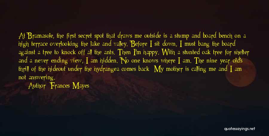 Frances Mayes Quotes: At Bramasole, The First Secret Spot That Draws Me Outside Is A Stump And Board Bench On A High Terrace