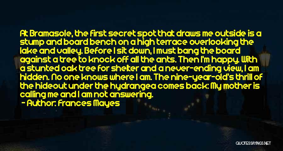 Frances Mayes Quotes: At Bramasole, The First Secret Spot That Draws Me Outside Is A Stump And Board Bench On A High Terrace