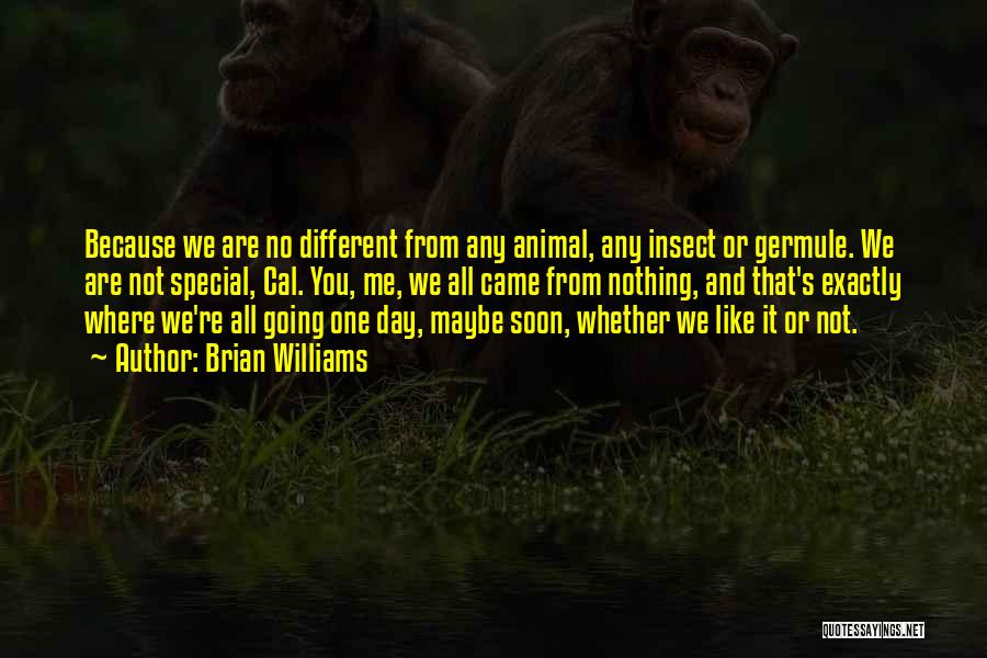 Brian Williams Quotes: Because We Are No Different From Any Animal, Any Insect Or Germule. We Are Not Special, Cal. You, Me, We