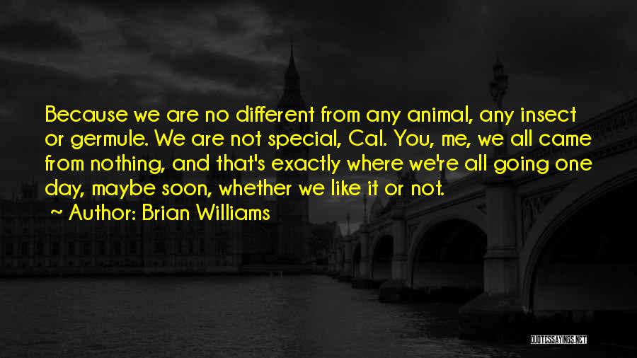 Brian Williams Quotes: Because We Are No Different From Any Animal, Any Insect Or Germule. We Are Not Special, Cal. You, Me, We