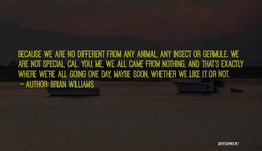 Brian Williams Quotes: Because We Are No Different From Any Animal, Any Insect Or Germule. We Are Not Special, Cal. You, Me, We