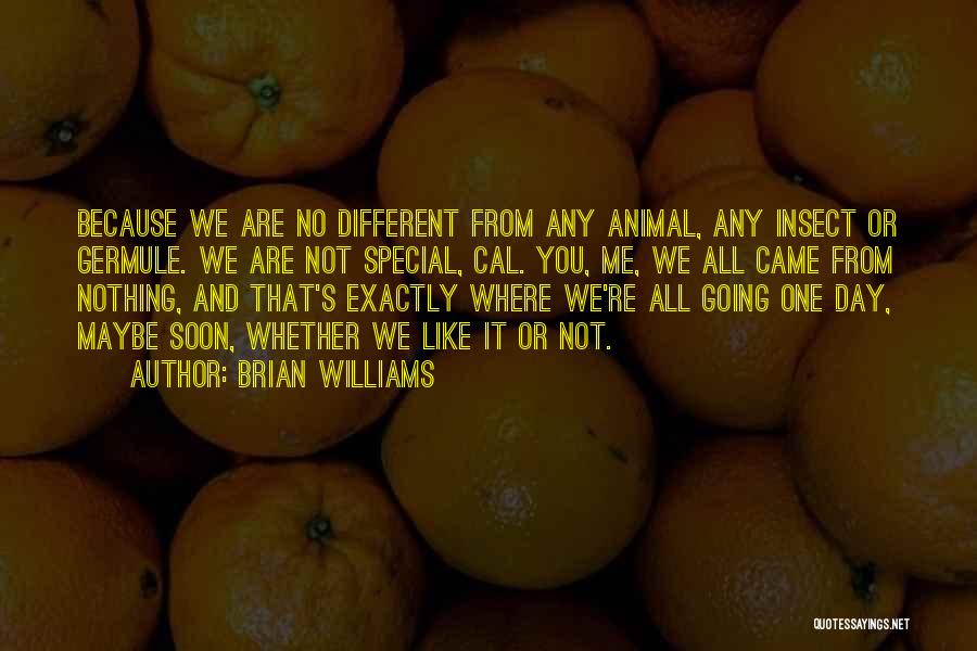 Brian Williams Quotes: Because We Are No Different From Any Animal, Any Insect Or Germule. We Are Not Special, Cal. You, Me, We