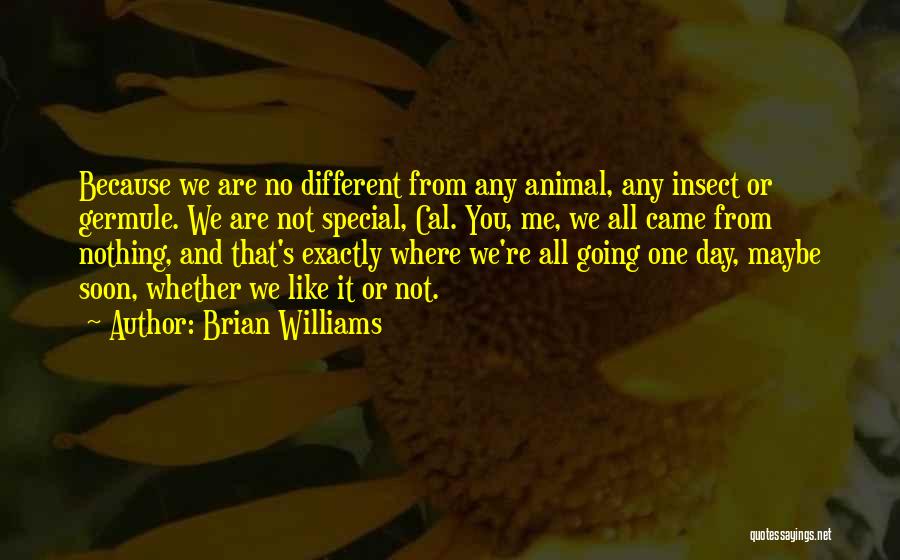 Brian Williams Quotes: Because We Are No Different From Any Animal, Any Insect Or Germule. We Are Not Special, Cal. You, Me, We