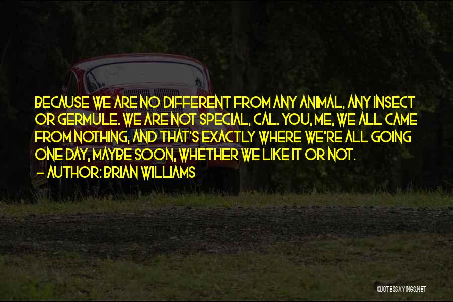 Brian Williams Quotes: Because We Are No Different From Any Animal, Any Insect Or Germule. We Are Not Special, Cal. You, Me, We