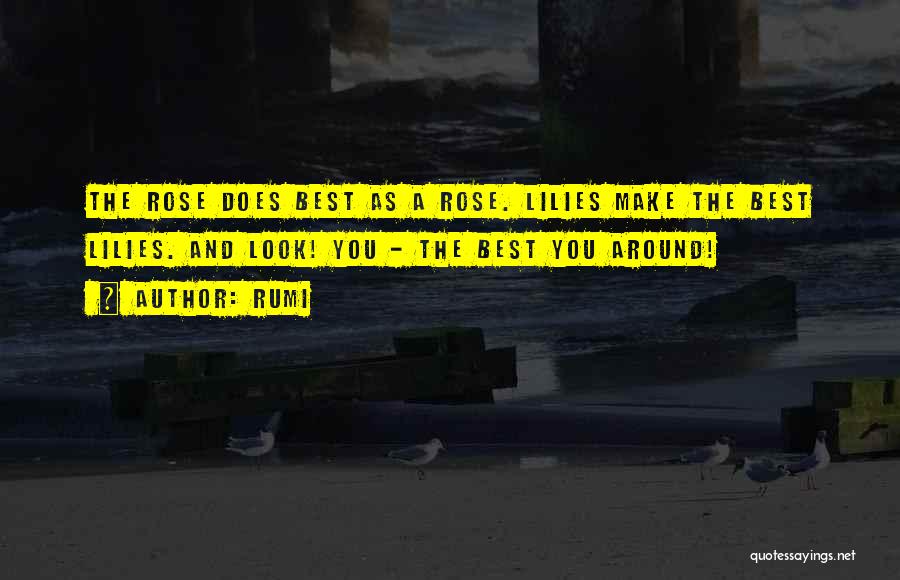 Rumi Quotes: The Rose Does Best As A Rose. Lilies Make The Best Lilies. And Look! You - The Best You Around!