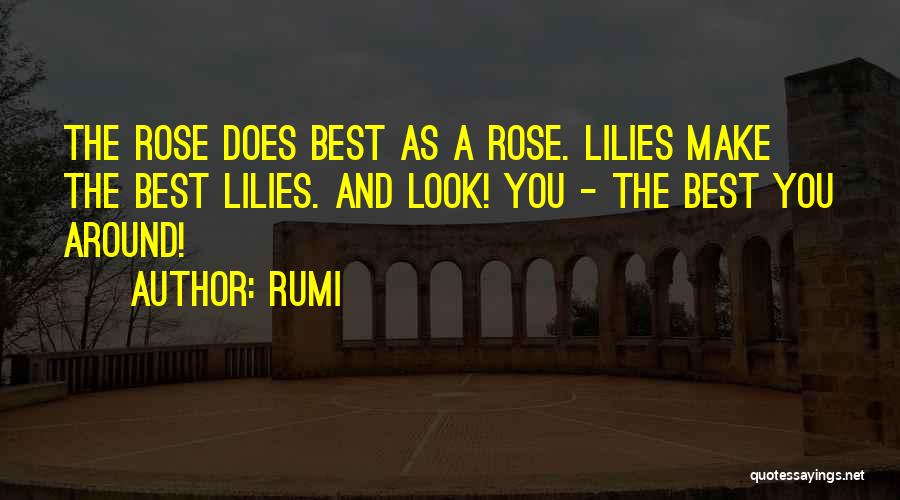 Rumi Quotes: The Rose Does Best As A Rose. Lilies Make The Best Lilies. And Look! You - The Best You Around!