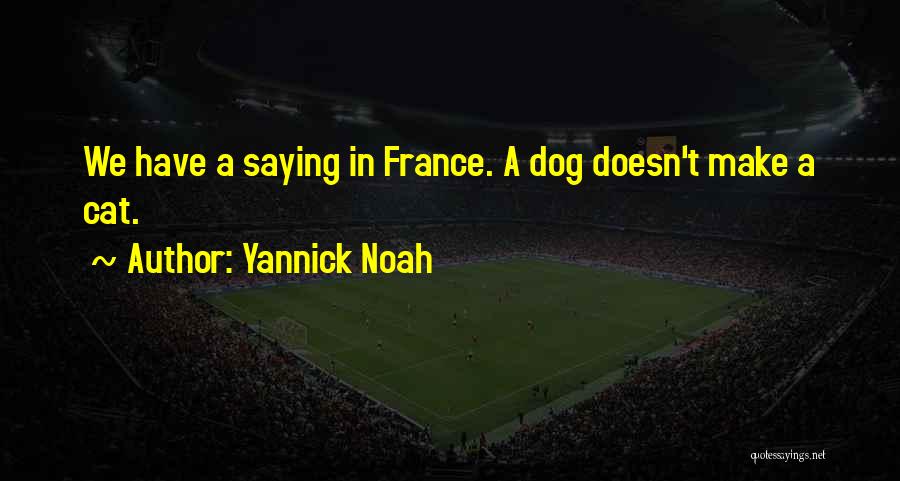 Yannick Noah Quotes: We Have A Saying In France. A Dog Doesn't Make A Cat.