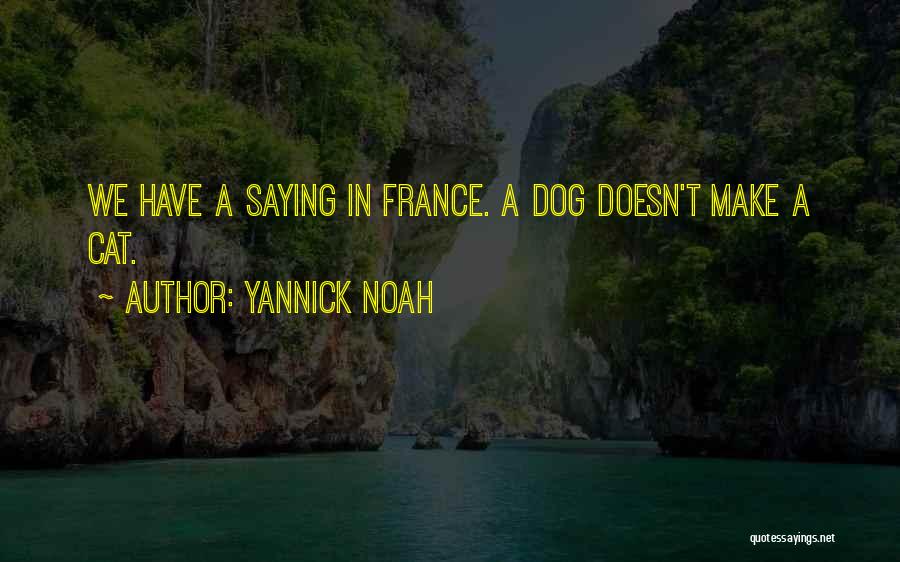 Yannick Noah Quotes: We Have A Saying In France. A Dog Doesn't Make A Cat.