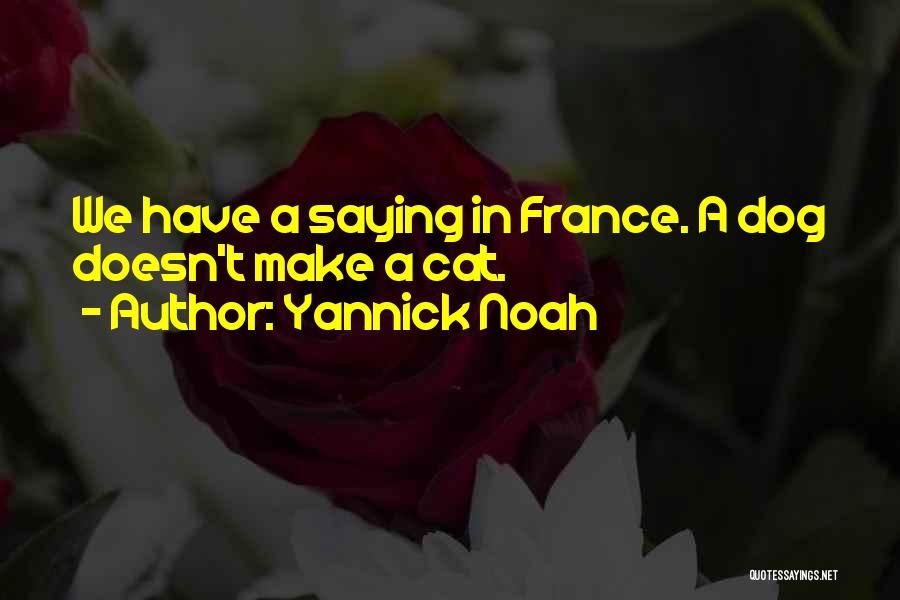 Yannick Noah Quotes: We Have A Saying In France. A Dog Doesn't Make A Cat.