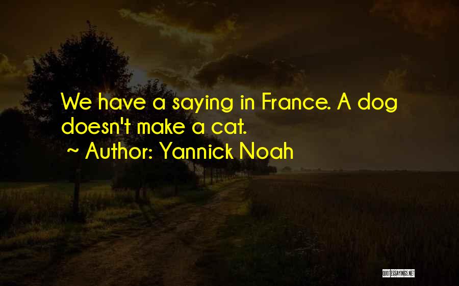 Yannick Noah Quotes: We Have A Saying In France. A Dog Doesn't Make A Cat.