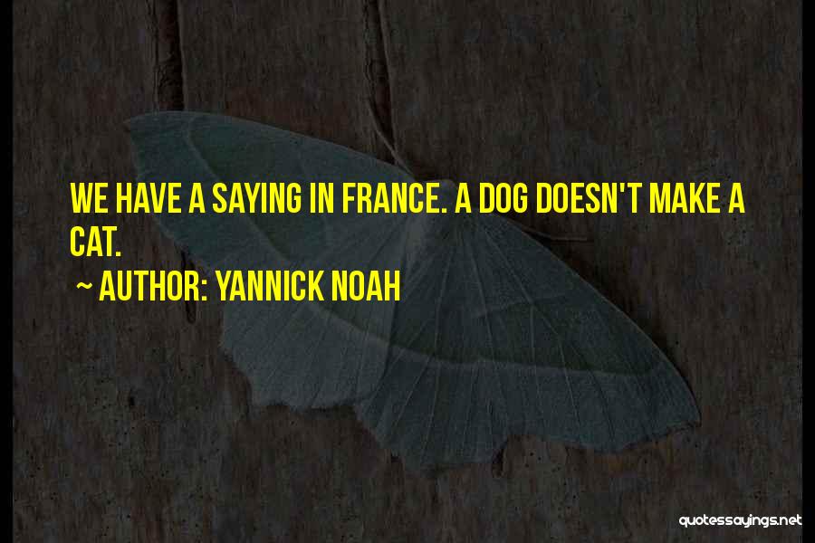 Yannick Noah Quotes: We Have A Saying In France. A Dog Doesn't Make A Cat.