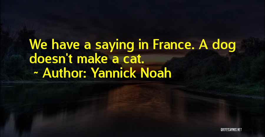 Yannick Noah Quotes: We Have A Saying In France. A Dog Doesn't Make A Cat.